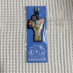 【新品未開封】スキズ 日本 ペンミ TOYWORLD BbokAri