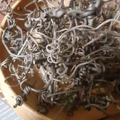 ドライフラワー素材！山葡萄のつる‥くるくるのところヾ(@゜▽゜@)ノ