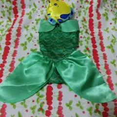 アニメータードール　アリエル