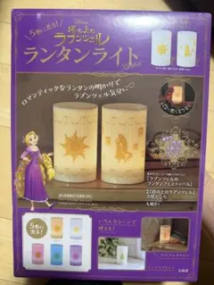 2026年最新】ラプンツェル LEDライトの人気アイテム - メルカリ