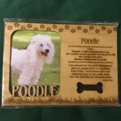 Item thumbnail for item ffc62a7e-1d48-4ff7-b24b-d86a1b075324