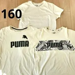 PUMA Tシャツ 160サイズ 3枚セット　ロゴTシャツ
