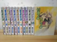 なるたる 全巻（1～12巻）セット 鬼頭莫宏 - メルカリ