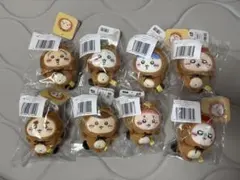 ちいかわ　たぬきだもんくじ　C賞　コンプリートセット