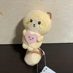ココロアライグマ　マスコット　タグ付き