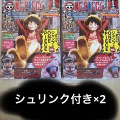 ONE PIECE magazine 20号 シュリンク付きプロモ付き×2