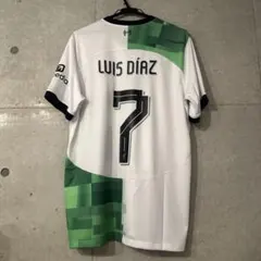 Item thumbnail for item 1a9ca131-22e5-4467-8dcd-5f7ffdb3fe66