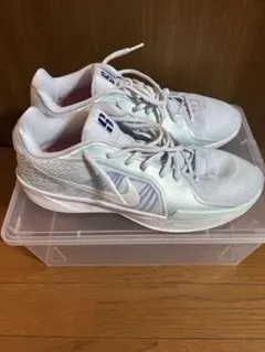 Nike Sabrina Ionescu バスケットシューズ❗ - メルカリ