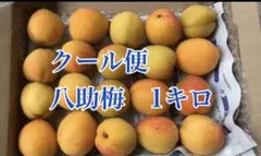 クール便　八助梅　1キロのサムネイル