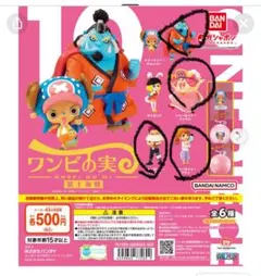 ワンピの実　第十海戦　セット