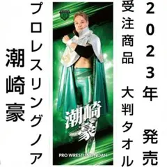 Item thumbnail for item 016ff6b2-98ef-4003-bb88-8824d8467735