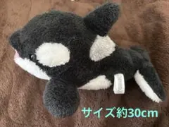 鴨川シーワールド　シャチ　ぬいぐるみ