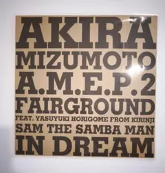 美品 水本アキラ A.M.E.P.2 12インチ レコード 堀込泰行 キリンジ