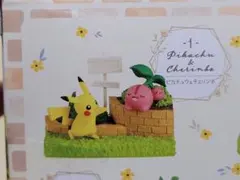 リーメント ポケモンガーデン 木漏れ日の午後 ピカチュウ＆チェリンボ