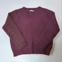 パープル Vネック ニットセーター 長袖