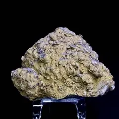 Chalcopyrite 黄銅鉱チャルコ パイライト 水晶共生 原石 鉱物標本