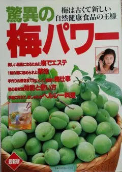 Item thumbnail for item 096dceb4-a132-4d4e-94b6-967cc232a9b9