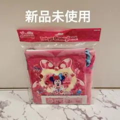 ミニー 巾着 ポーチ　ファンダーランド　パルパルーザ　ディズニー　Disney