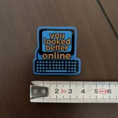 コンピュータ型ピンバッジ you looked better online