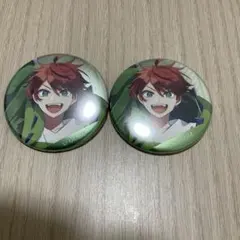 カラフルピーチ　からぴち　アニメイト缶バッジ　じゃぱぱ