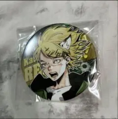 天野明展 家庭教師ヒットマンREBORN！ 城島犬 缶バッジ