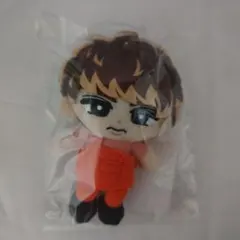 【新品未開封】SnowMan 向井康二　すのチル