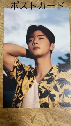 デニス様 リクエスト 2点 まとめ商品