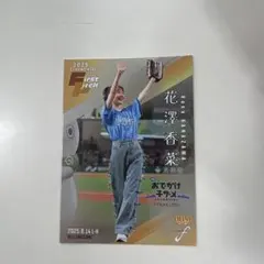 Item thumbnail for item 1cf75269-75b8-46fe-a7bc-b3fdb6994a7e