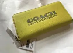 Item thumbnail for item 4b418a5a-6041-4556-ad28-9040dc0e5c77