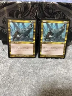 【MTG】蝕み×2