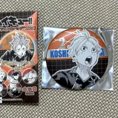 コレクション缶バッジ memories 菅原 コレクション缶バッジ memories 菅原 Amazon.co.jp: ハイキュー