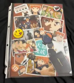 ハイキュー クリアファイル 日向 翔陽