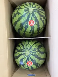 訳あり】山形県産すいか6L(11kg) 2玉入り - メルカリ