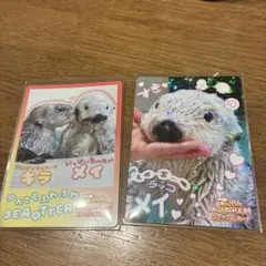 レアカード】鳥羽水族館コレカ2 ラッコ ロイズとメイ 思い出レアカード