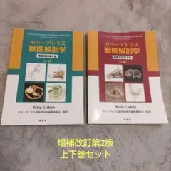 カラーアトラス 獣医解剖学 増補改訂第2版 上・下巻セット 専門書　260621 Amazon.co.jp: カラーアトラス獣医解剖学 増補改訂第2版 下巻 : カラー