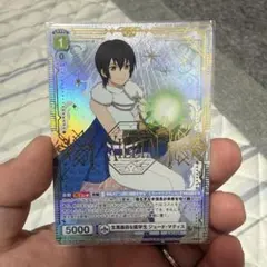 ヴァイスシュヴァルツ 格闘家 ファラ・エルステッド SR - メルカリ