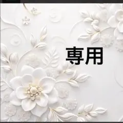専用商談中