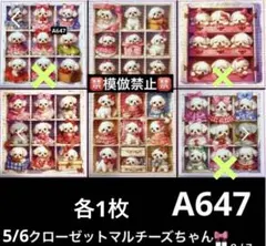 確認用　大所帯クローゼットマル　パネル柄