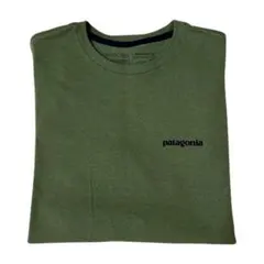 ほぼ新品　patagonia 長袖Tシャツ