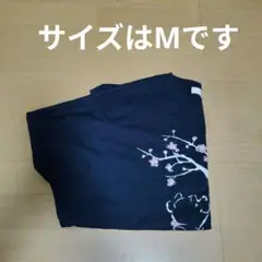 半そでビッグサイズティシャツ