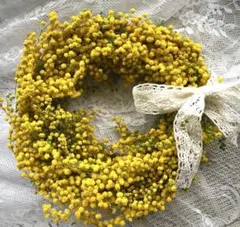 ミモザのリース　約18cm 春のお花をお部屋に♡