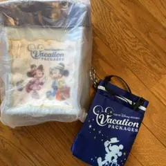 東京ディズニーリゾート バケーションパッケージ 限定ポップコーンバケット・バッグ