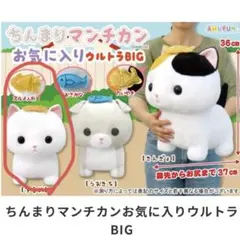 Item thumbnail for item 523a97b9-8f7f-45cb-8cb9-937ec8846d5d