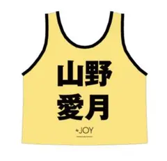 ≠ME ノイミー 永田詩央里 公式ビブス2026 フリーサイズ - メルカリ