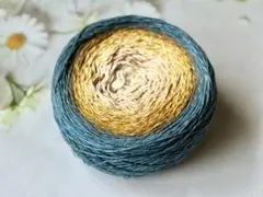 グラデーションコットンサマーヤーン 308g