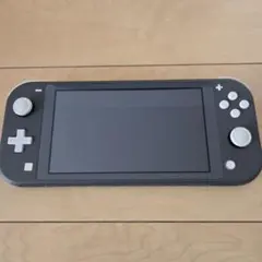 Nintendo Switch Lite グレー 本体 ケース付き
