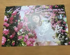 Item thumbnail for item 2aab3e2c-04b8-4e4f-8bc9-f7840ab080b7