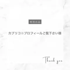 【カプリコ※プロフィールご覧下さい様専用】貯金シート