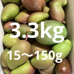 摘果マンゴー8kg 5〜150g訳あり - メルカリ