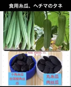 ○作りやすい 瓜 種セット 一夜漬漬 漬物に最適 - メルカリ